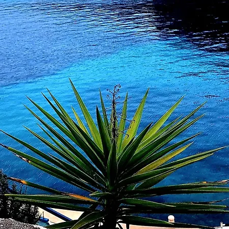 Fortunal Blato (Korcula)