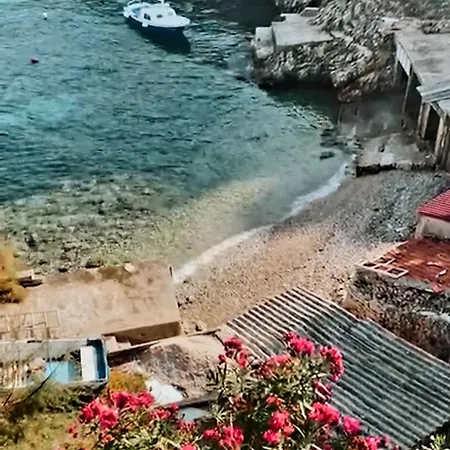 Проживание в семье Fortunal