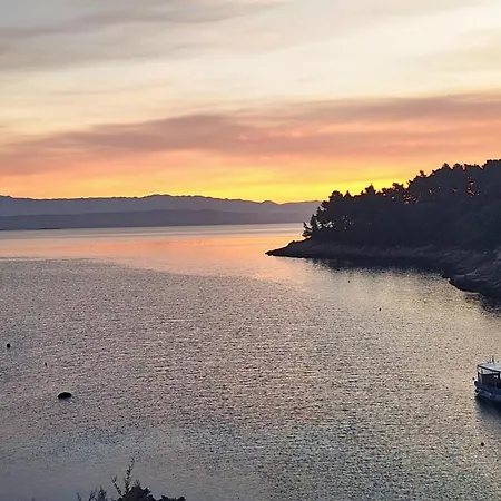 Fortunal Проживание в семье