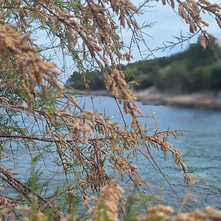 Rum i privatbostad Fortunal Blato (Korcula)