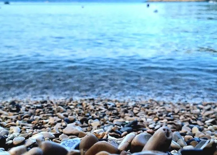 Fortunal Séjour chez l'habitant Blato (Korcula)