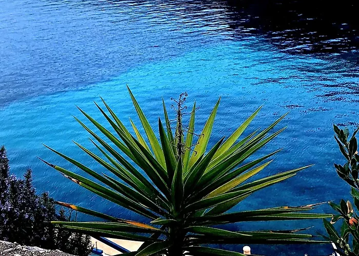 Fortunal Blato (Korcula)