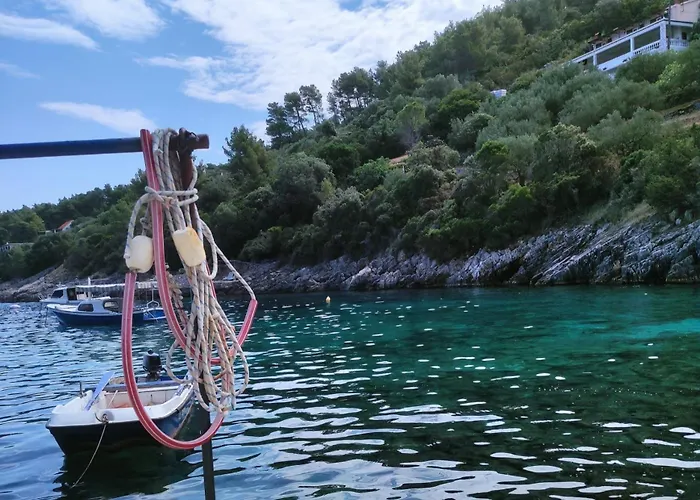 Séjour chez l'habitant Fortunal Blato (Korcula)