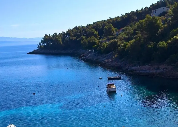 Fortunal Séjour chez l'habitant Blato (Korcula)